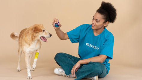 Saúde promove 3ª edição do Cuida Pet SP com serviços gratuitos