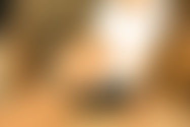 Responsabilidade dos pais e das mães, nascida em Deus