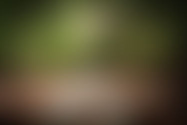 Petit conte initiatique