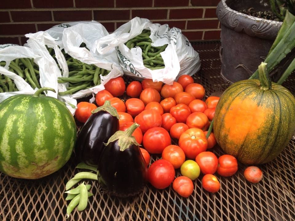 veggieharvest