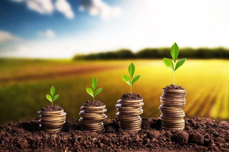 Quando o Produtor Rural deve constituir uma Empresa Agrária e quais as vantagens?
