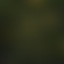 Inspirational Quote by Srinivas Arka - Age and Wisdom - 28 Jan 2026