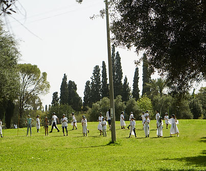 _DSC8995.jpeg