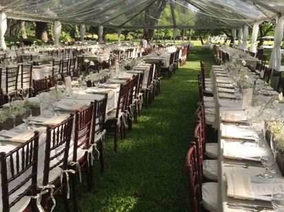 Chairs, catering chairs, wedding chairs