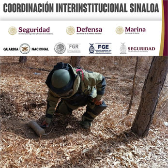 En Badiraguato, Grupo Interinstitucional asegura artefactos explosivos y granadas