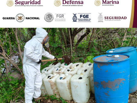 En Cosalá, Grupo Interinstitucional asegura y destruye 2 áreas de concentración de material para la elaboración de drogas