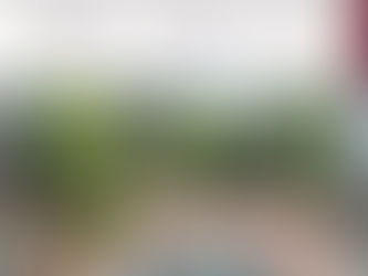 Tras trabajos de reconocimiento, Grupo Interinstitucional asegura arma larga y municiones en Culiacán