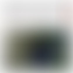 Grupo Interinstitucional asegura droga en Mazatlán