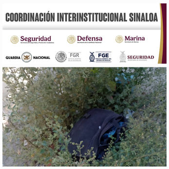 Grupo Interinstitucional asegura droga en Mazatlán