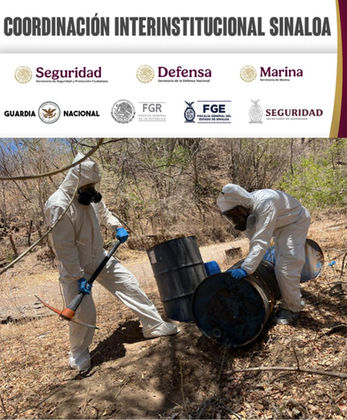 Grupo Interinstitucional asegura y destruye seis áreas de concentración para elaboración de drogas en Cosalá y Elota