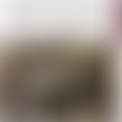 En Cosalá, Grupo Interinstitucional asegura un laboratorio inactivo, áreas de concentración de sustancias y localiza plantío de marihuana