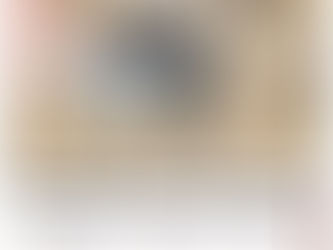 En Rosario, Grupo Interinstitucional detecta y derriba un dron