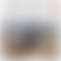 Grupo Interinstitucional localiza y destruye dos campamentos clandestinos en Cosalá