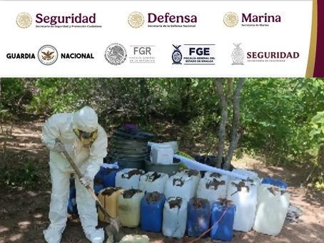 Grupo Interinstitucional localizó y destruyó 3 áreas de almacenamiento de quÃmicos y material para elaborar drogas en Cosalá, y 1 laboratorio inactivo en Culiacán