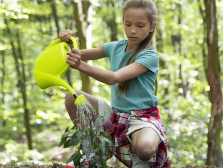 Você conhece a Educação Ambiental?