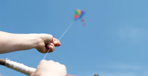 Learning To Fly
