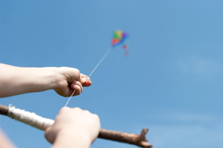 The Kite
