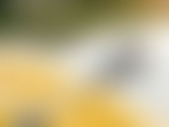 yellow kayak on a lake