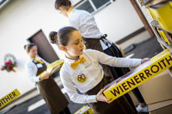 Wienerroither 80 - #15