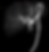 Image5.png