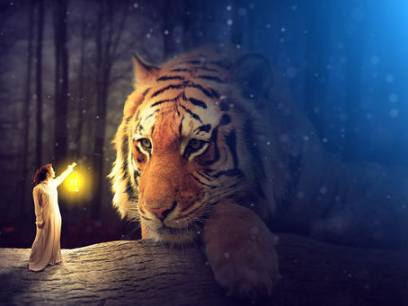 Mida on hea teada Tiigriaasta eel? (artikkel nr 2 sel teemal)