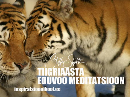 Tiigriaasta alguse pühitsus