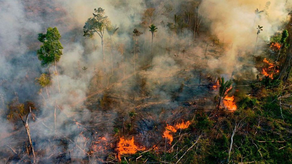 Monitoring Tinggi Muka Air: Kunci Menjaga Keberlanjutan Lahan Gambut dari Ancaman Kebakaran