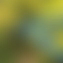 Memperkuat Kesiapsiagaan Bencana Melalui Sistem Pemantauan Lingkungan Terintegrasi