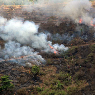 Data TMAT: Kunci Pengendalian Kebakaran Hutan dan Lahan yang Lebih Efektif