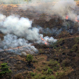 Data TMAT: Kunci Pengendalian Kebakaran Hutan dan Lahan yang Lebih Efektif