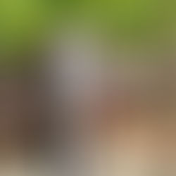 Instalasi AWLR untuk Pemantauan Tinggi Muka Air Tanah dan Kepatuhan Regulasi Lingkungan