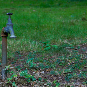 Pemantauan Air Tanah: Pengertian, Jenis, dan Pentingnya Keberadaan Air Tanah