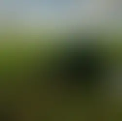 Pemanfaatan Data Hujan untuk Meningkatkan Efisiensi Produksi Pertanian