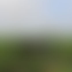 Optimalisasi Perkebunan Modern Melalui Teknologi Drone Perkebunan