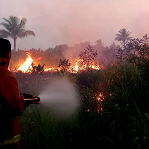 Pencegahan Karhutla Gambut Dimulai dari Pemantauan Kondisi Air Tanah