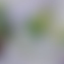 Waspada Cuaca Ekstrem: Arti Peringatan BMKG dan Cara Masyarakat Menghadapinya