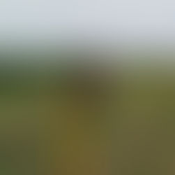 Inisiatif Adaptasi Iklim: Pemasangan Automatic Rainfall Recorder di Bojonegoro, Jawa Timur