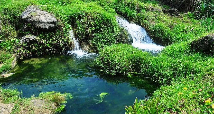 Air Tanah: Fungsi Vital bagi Ekosistem dan Kehidupan Manusia