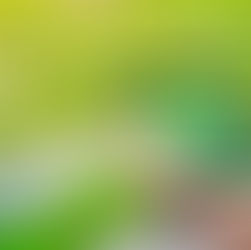 Internet of Things (IoT) dalam Pertanian: Revolusi Teknologi untuk Masa Depan Agrikultur