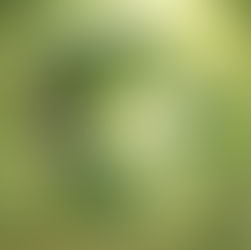 Pemantauan Tinggi Muka Air: Kunci Efisiensi Irigasi dan Ketahanan Pertanian Berkelanjutan