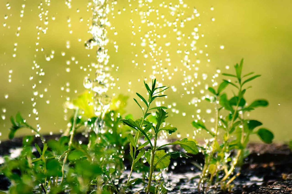 Menghadapi tantangan krisis air dalam sektor pertanian, konsep Smart Water Management atau manajemen air cerdas hadir sebagai solusi utama.