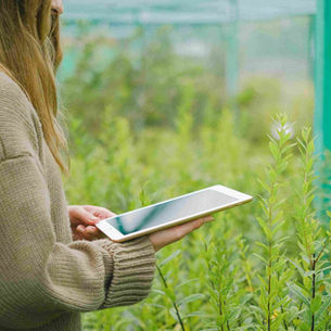 Smart Farming: Pengertian, Pola Kerja, dan Peran Teknologi Internet of Things