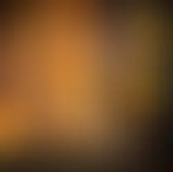 Langkah Efektif Cegah Bencana di Kebun Sawit melalui Mitigasi Kebakaran dan Banjir