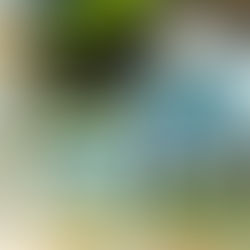 Strategi Pengendalian Kualitas Air untuk Mendukung Industri Ramah Lingkungan