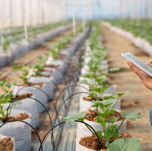 Peran IoT dan Contoh Smart Farming: Pertanian Cerdas di Era Digital
