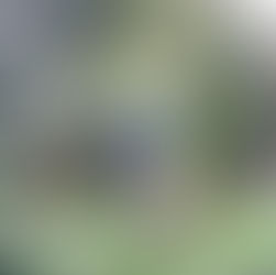 Optimalisasi Pengelolaan Air Tanah melalui Sistem Pemantauan Tinggi Muka Air Berbasis Teknologi