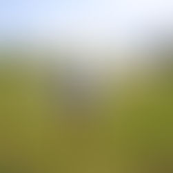 Pemantauan Cuaca Industri: Kunci Efisiensi dan Keamanan Operasional Modern