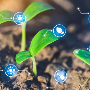 Transformasi Digital Pertanian: Membangun Ketahanan Pangan Melalui Smart Farming Indonesia
