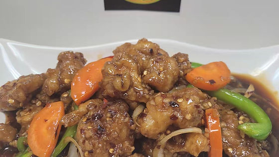66. Honey Garlic Chicken