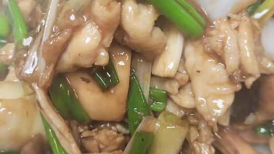 24. (Chicken / Beef) with Giner & Green Onion 